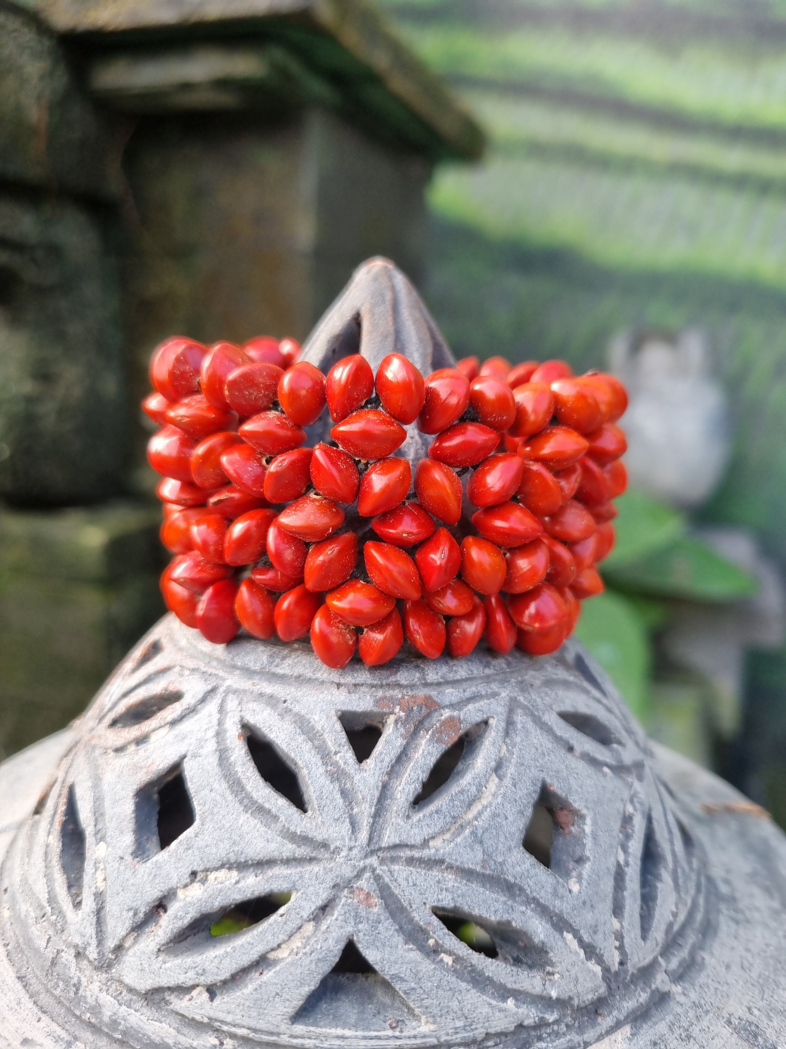 Met deze prachtige armband gemaakt van Saga zaden, steun je de Dayak Indianen.